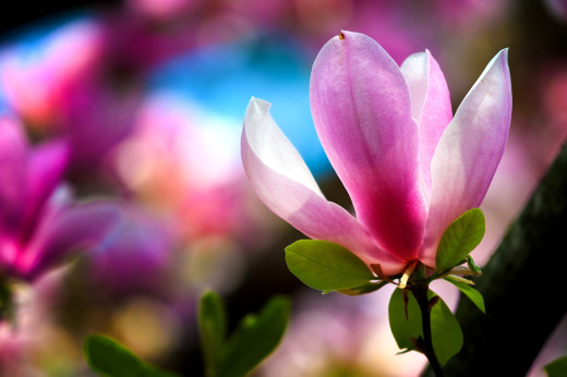 583432 (a): :2800x1860